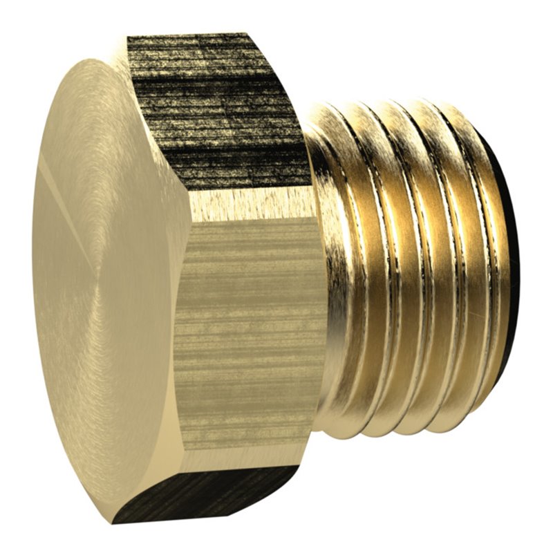 Riegler Verschlussschraube, Außensechskant, G 2, SW 70, MS