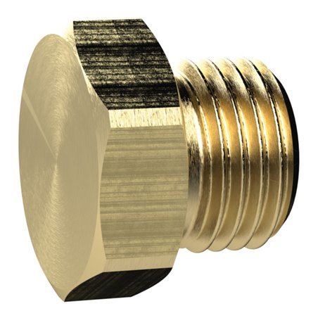 Riegler Verschlussschraube, Außensechskant, G 2, SW 70, MS