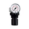 Riegler Druckbegrenzungsventil, inkl. Manometer, G 1/4, 0,5 - 10,0 bar
