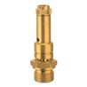 Riegler Sicherheitsventil DN 8, Messing, G 3/8, Ansprechdruck 1,5 bar