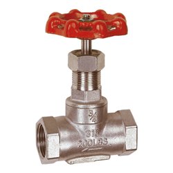 Riegler Muffen-Absperrventil, Edelstahl 1.4401/1.4408, G 2, DN 50