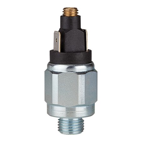 Riegler Druckschalter, Standard, Stahl verz., G 1/4, 0,5-2 bar, Schließer