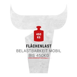 Bauer Südlohn Kippmulde KS700, lackiert