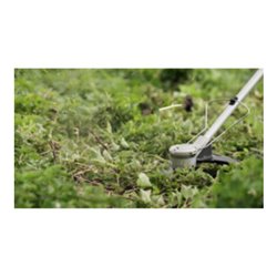 Bosch Freischneider AdvancedBrushCut 36V-23-750