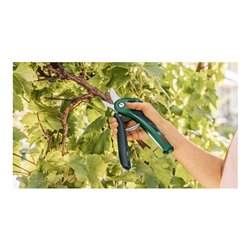 Bosch Akku-Gartenschere EasyPrune Classic
