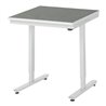 RAU Arbeitstisch adlatus 150 elektrisch höhenverstellbar Linoleum-/Universal-Platte