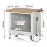 Rau Werkbank mit Fahrgestell 8257, B1000xT700xH880mm, 3x Schublade-TA