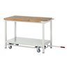 Rau Werkbank mit Fahrgestell 8579, B2000xT700xH880mm, 12x Schublade-TA