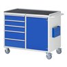 Rau Montagewagen LL5.23, B1145xT650xH975mm, 5x Schublade-TA, 1x Tür, MT-Top-25mm