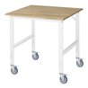 Rau Fahrbarer Arbeitstisch Tom (4 LR), B1000xT1000xH910-1230mm, B-Platte-25mm