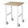 Rau Fahrbarer Arbeitstisch Tom (4 LR), B750xT800xH910-1230mm, B-Platte-25mm