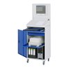 Rau Computer-Schrank 61, B650 xT520xH1895mm, mobil