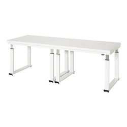 Rau Werkbank elektrisch höhenverstellbar, B2500xT700xH740-1140mm, HPL-Platte-40 mm
