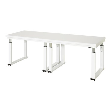 Rau Werkbank elektrisch höhenverstellbar, B2500xT700xH740-1140mm, HPL-Platte-40 mm