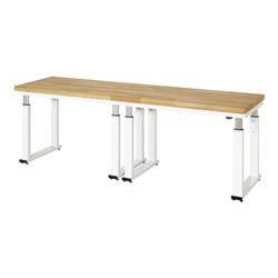 Rau Werkbank elektrisch höhenverstellbar, B2500xT700xH740-1140mm, B-Platte-40 mm