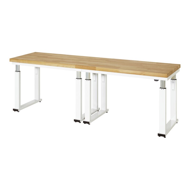 Rau Werkbank elektrisch höhenverstellbar, B2500xT700xH740-1140mm, B-Platte-40 mm