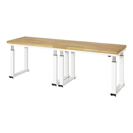 Rau Werkbank elektrisch höhenverstellbar, B2500xT700xH740-1140mm, B-Platte-40 mm