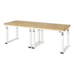 Rau Werkbank elektrisch höhenverstellbar, B2500xT900xH740-1140mm, B-Platte-40 mm