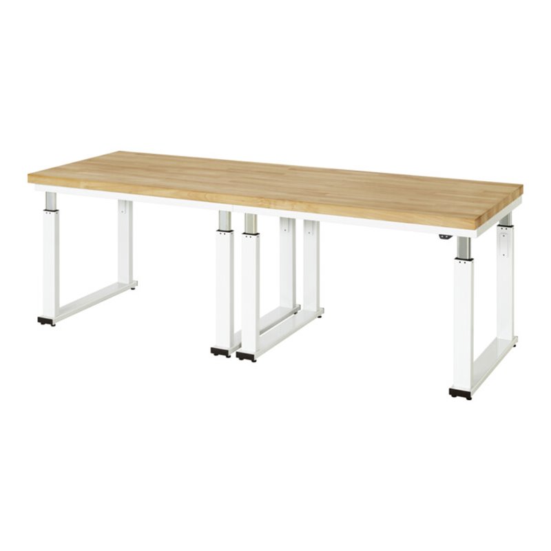 Rau Werkbank elektrisch höhenverstellbar, B2500xT900xH740-1140mm, B-Platte-40 mm