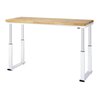 Rau Werkbank elektrisch höhenverstellbar, B2500xT900xH740-1140mm, B-Platte-40 mm