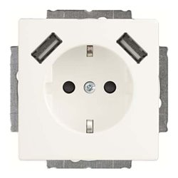 Busch-Jaeger SCHUKO-2x USB Steckdose 20 EUCB2USB-884