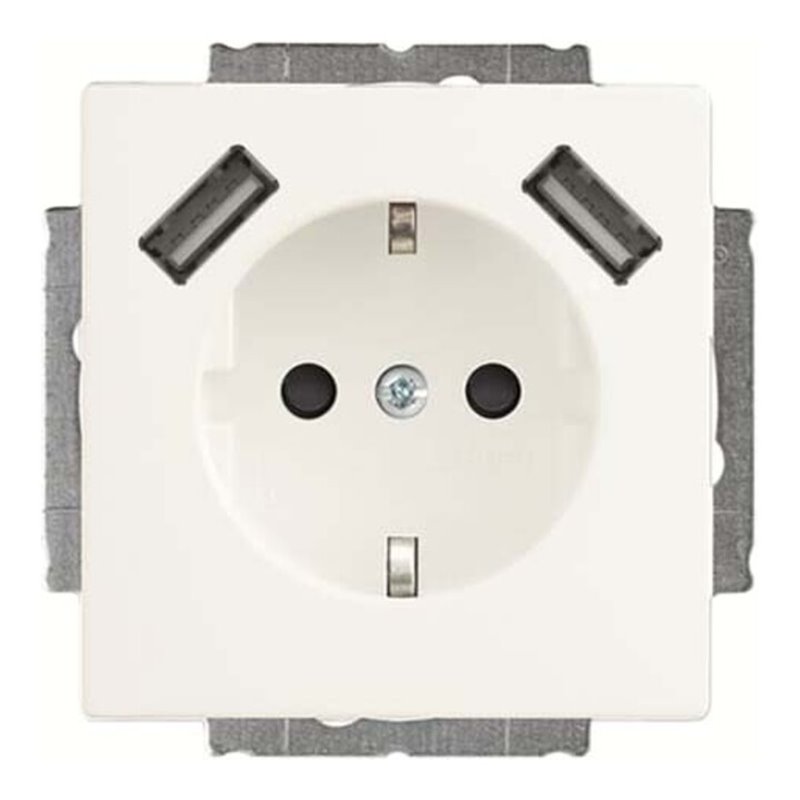 Busch-Jaeger SCHUKO-2x USB Steckdose 20 EUCB2USB-884