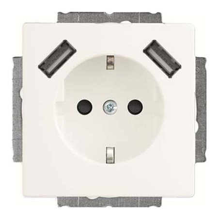 Busch-Jaeger SCHUKO-2x USB Steckdose 20 EUCB2USB-884