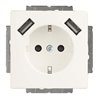 Busch-Jaeger SCHUKO-2x USB Steckdose 20 EUCB2USB-884