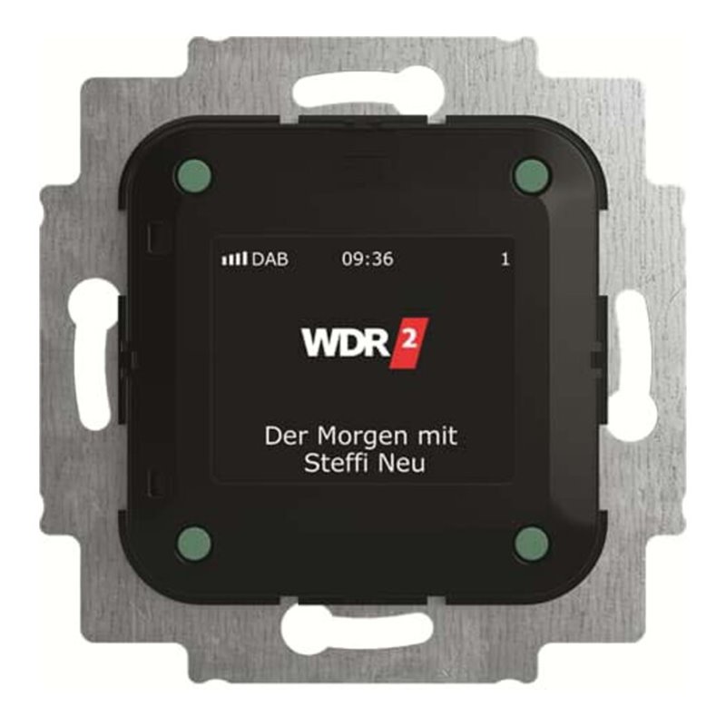 Busch-Jaeger Busch-Radio DAB+ 8215 U-101