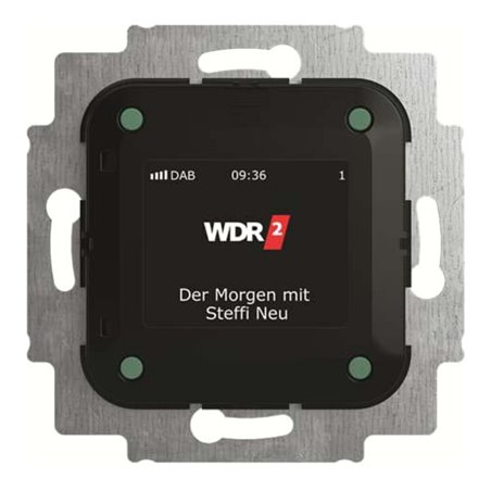 Busch-Jaeger Busch-Radio DAB+ 8215 U-101