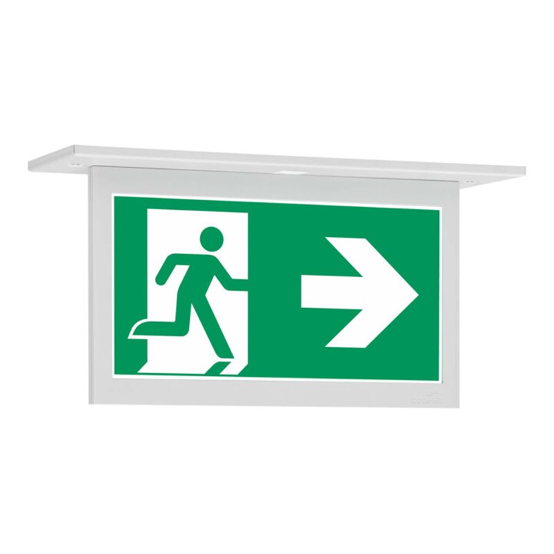 Ceag Notlichtsysteme LED-Einzelbatterie-Leuchte m.autom. Funkt.test 10824 1-8/D CGLine+