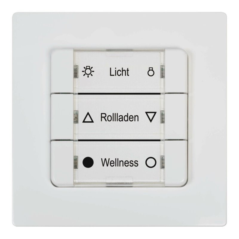 DELTA DORE DuoFern Mehrfachwandtaster ultraweiß 9494-2