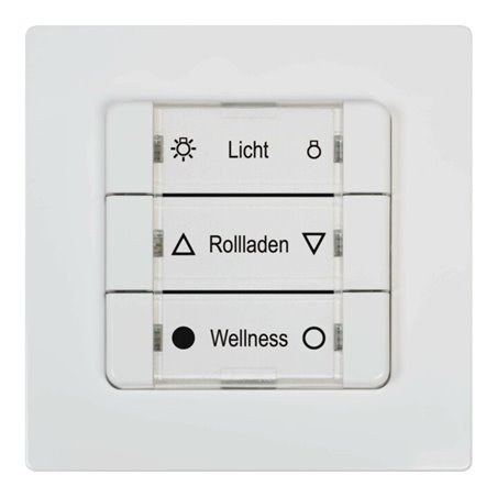DELTA DORE DuoFern Mehrfachwandtaster ultraweiß 9494-2