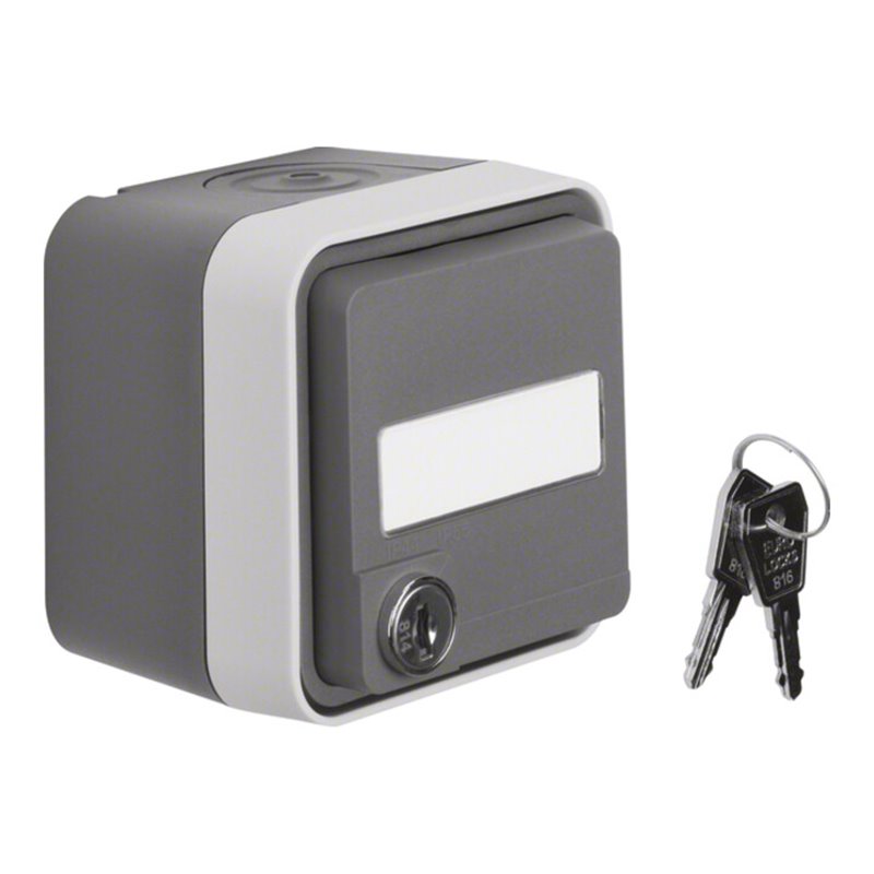 Berker SCHUKO-Steckdose lichtgrau 47393505