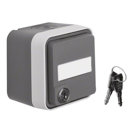 Berker SCHUKO-Steckdose lichtgrau 47393505