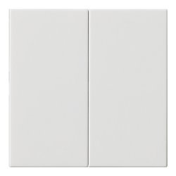 Gira Bedienaufsatz 2fach rws 536203