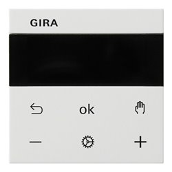 Gira RTR Display rws 539303