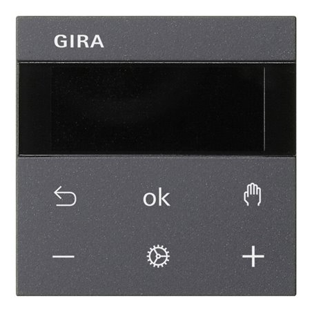 Gira RTR Display anthrazit 539328