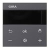 Gira RTR Display anthrazit 539328