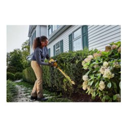 DEWALT Akku-Heckenschere, 54 Volt, Basisv.