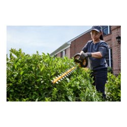 DEWALT Akku-Heckenschere, 54 Volt, Basisv.