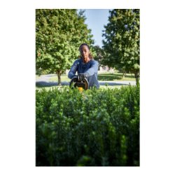 DEWALT Akku-Heckenschere, 54 Volt, Basisv.