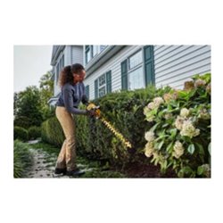 DEWALT Akku-Heckenschere, 54 Volt