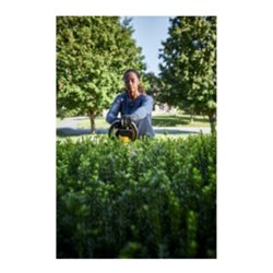 DEWALT Akku-Heckenschere, 54 Volt