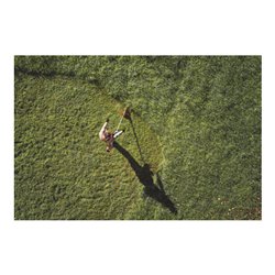 STIHL Akku-Motorsense FSA 200, ohne Akku und Ladegerät