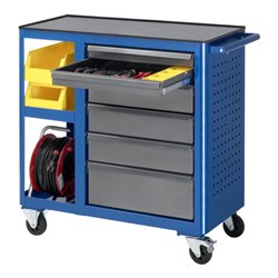 Rau Rollwerkbank Metall-Top mit 6 Schubladen 2 Ablagefächer