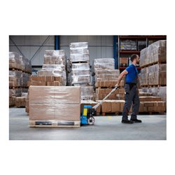 Hanse Lifter Hubwagen BF-AR, 2.500 kg