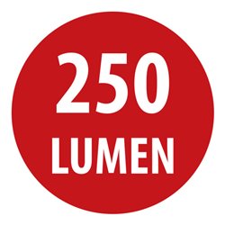 Brennenstuhl Akku LED Kopflampe LuxPremium KL 251 AF / Stirnlampe LED mit austauschbarem Akku und Rotlicht (250lm, IP44, CREE-LE