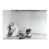 Festool Absaugmobil CLEANTEC CTH 26 EI