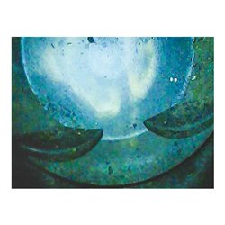 VIGOR Video-Endoskop, V7500/2